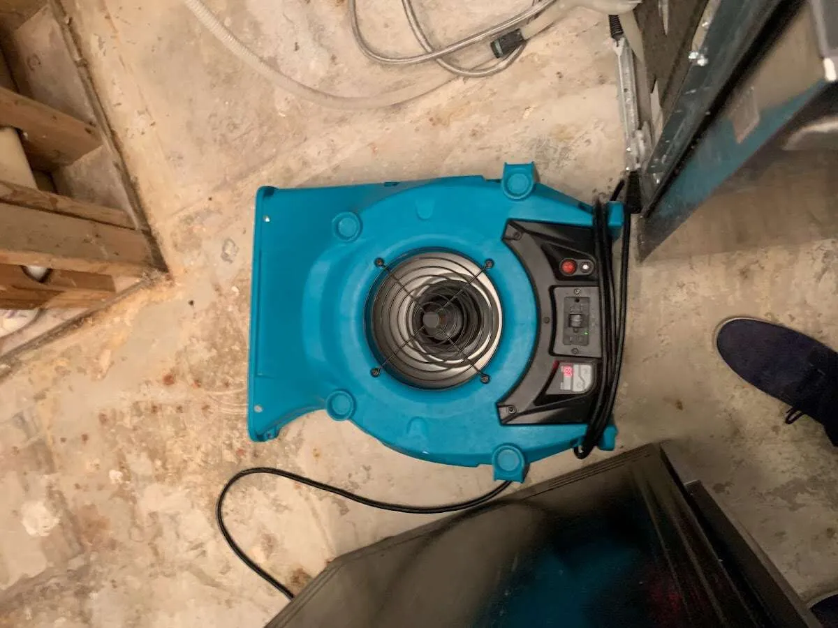 Air mover drying equipment for Mold Remediation & Removal in Graham